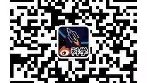 219 版攻略：深度解析 219必玩技巧