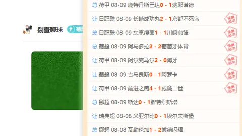 维蒂尼亚荣膺2026赛季法甲，一球七助攻成就非凡